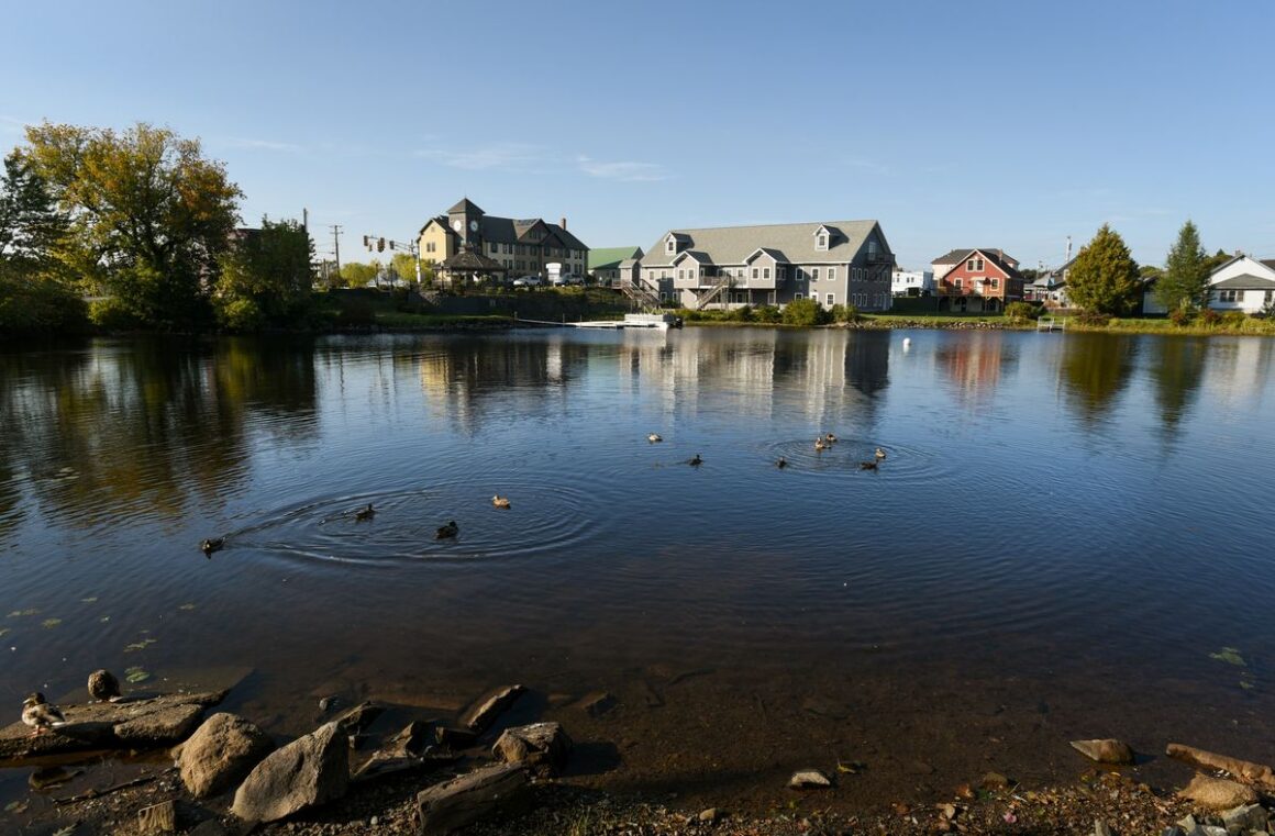 a pond in front of homes.
