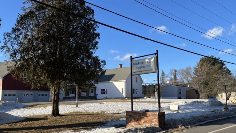 the entrance to the blueberry fields cooperative.