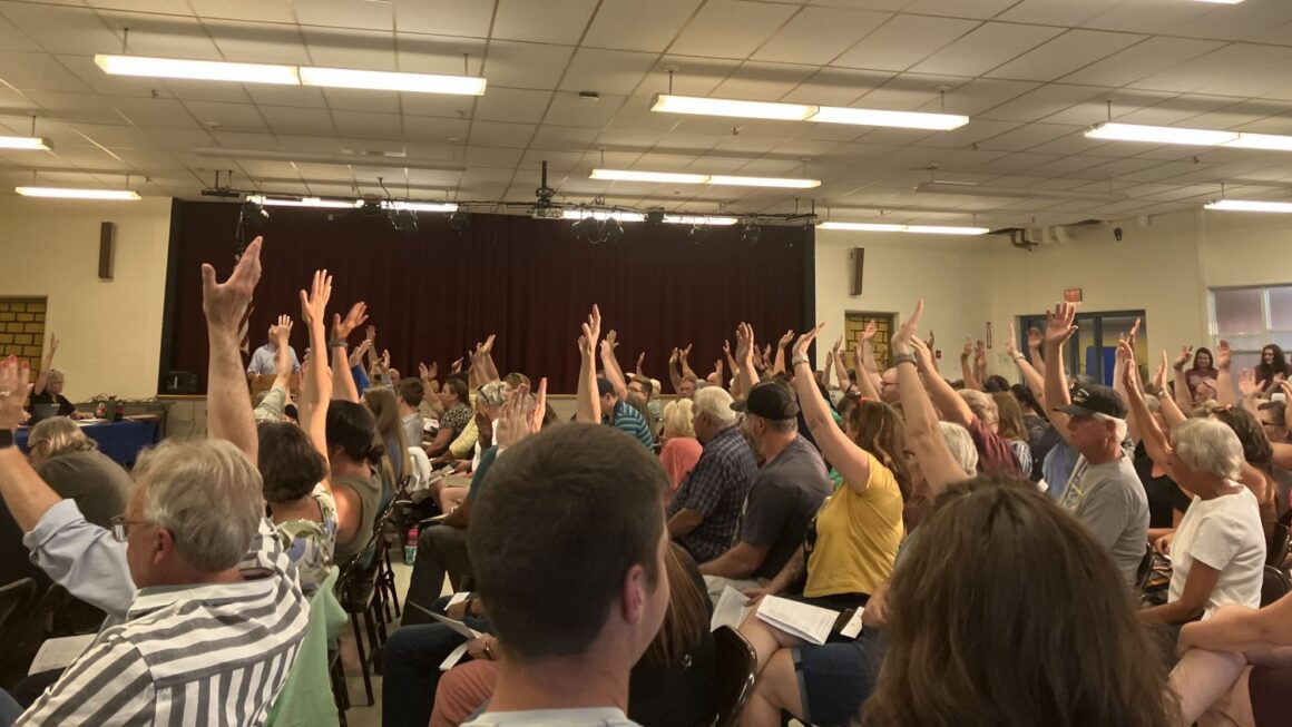 Voters raise their hands during a vote.