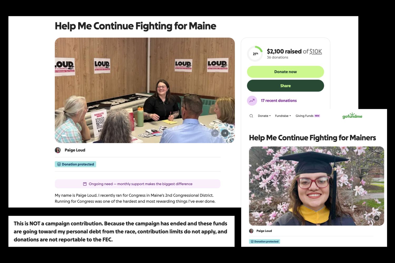screenshots from the gofundme page