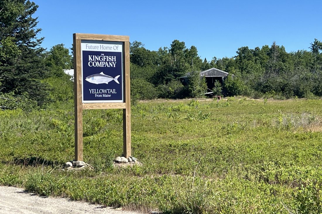 a sign for the kingfish project in jonesport.