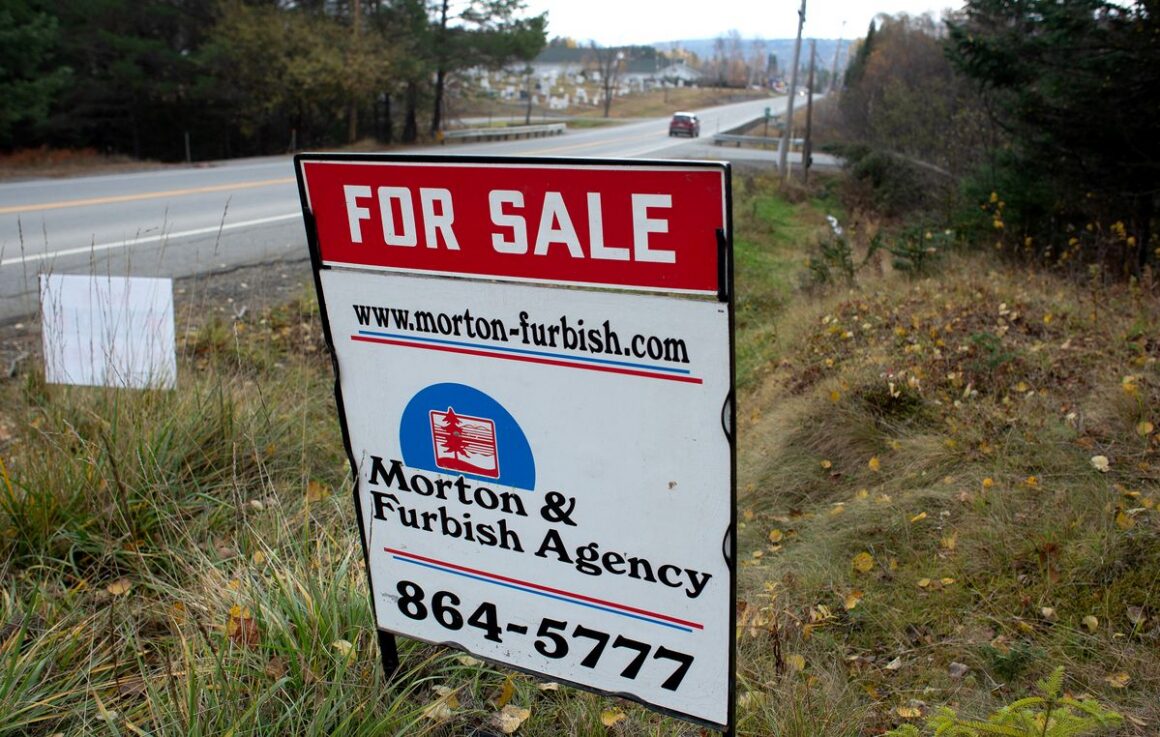 a for sale sign in a lawn