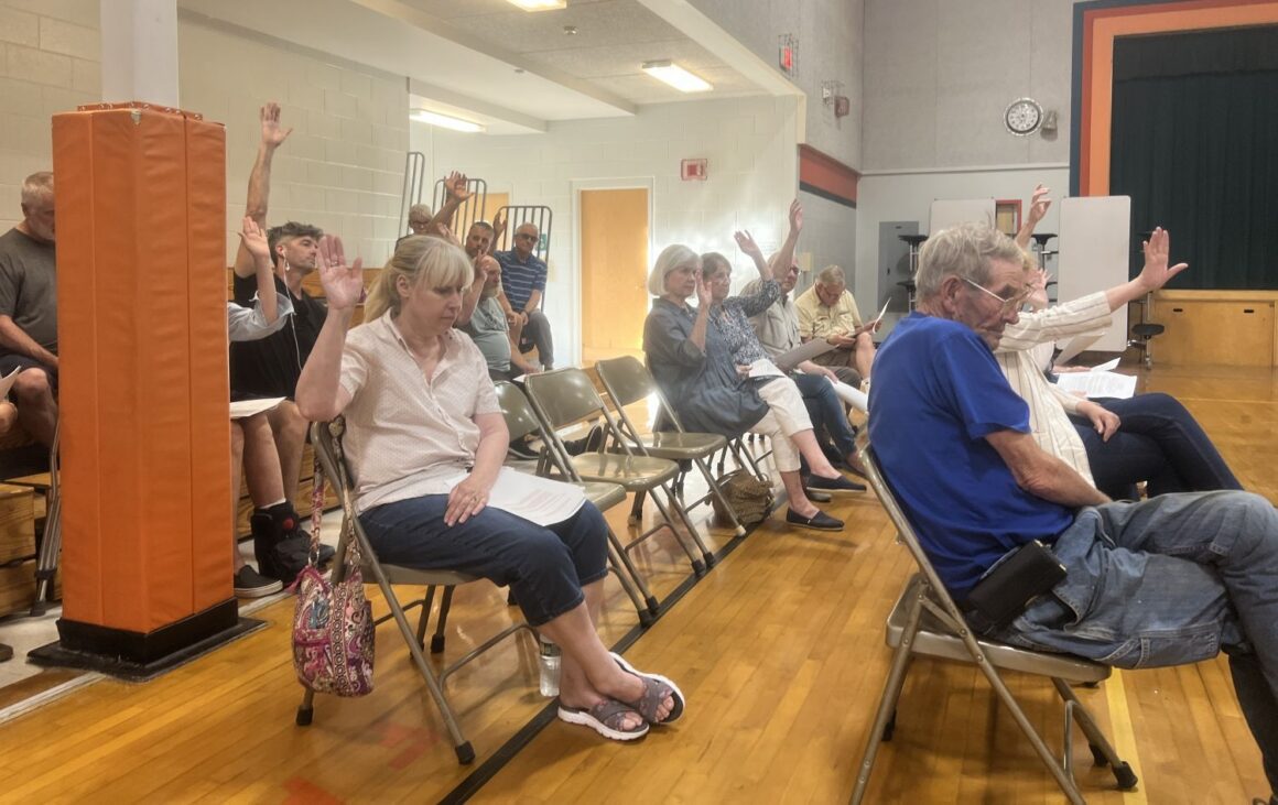 voters raise their hands to cast their vote during a meeting