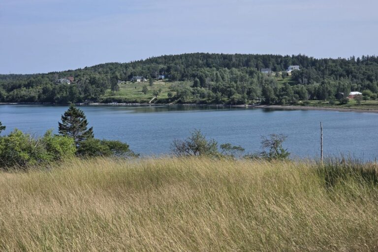 the kendell head area