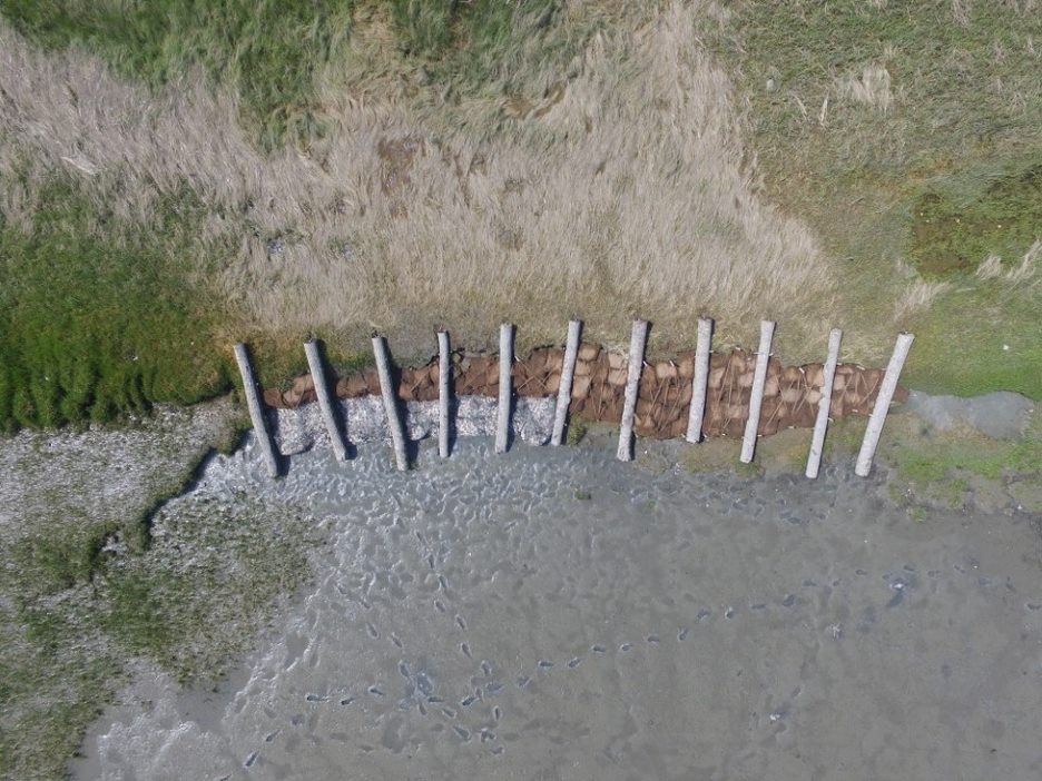 aerial image of the area