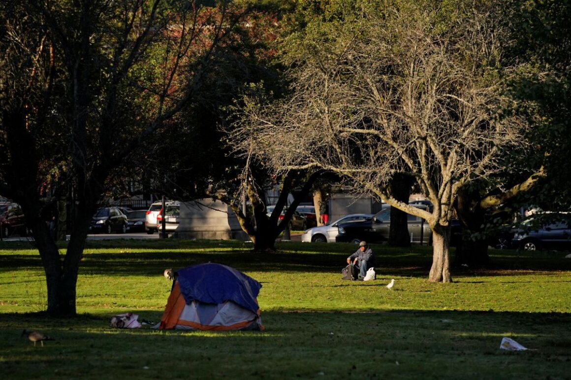 homeless campsite in a park
