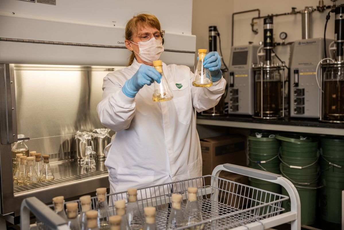 a research examines beakers in a lab.