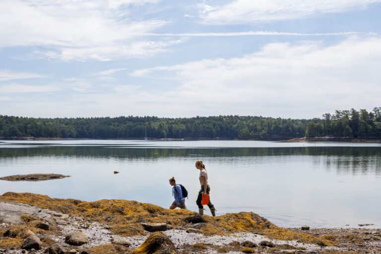 two women walking along the coastline looking for oysters