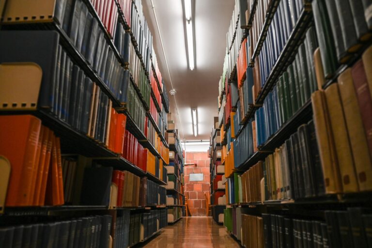 books line the shelves of a library