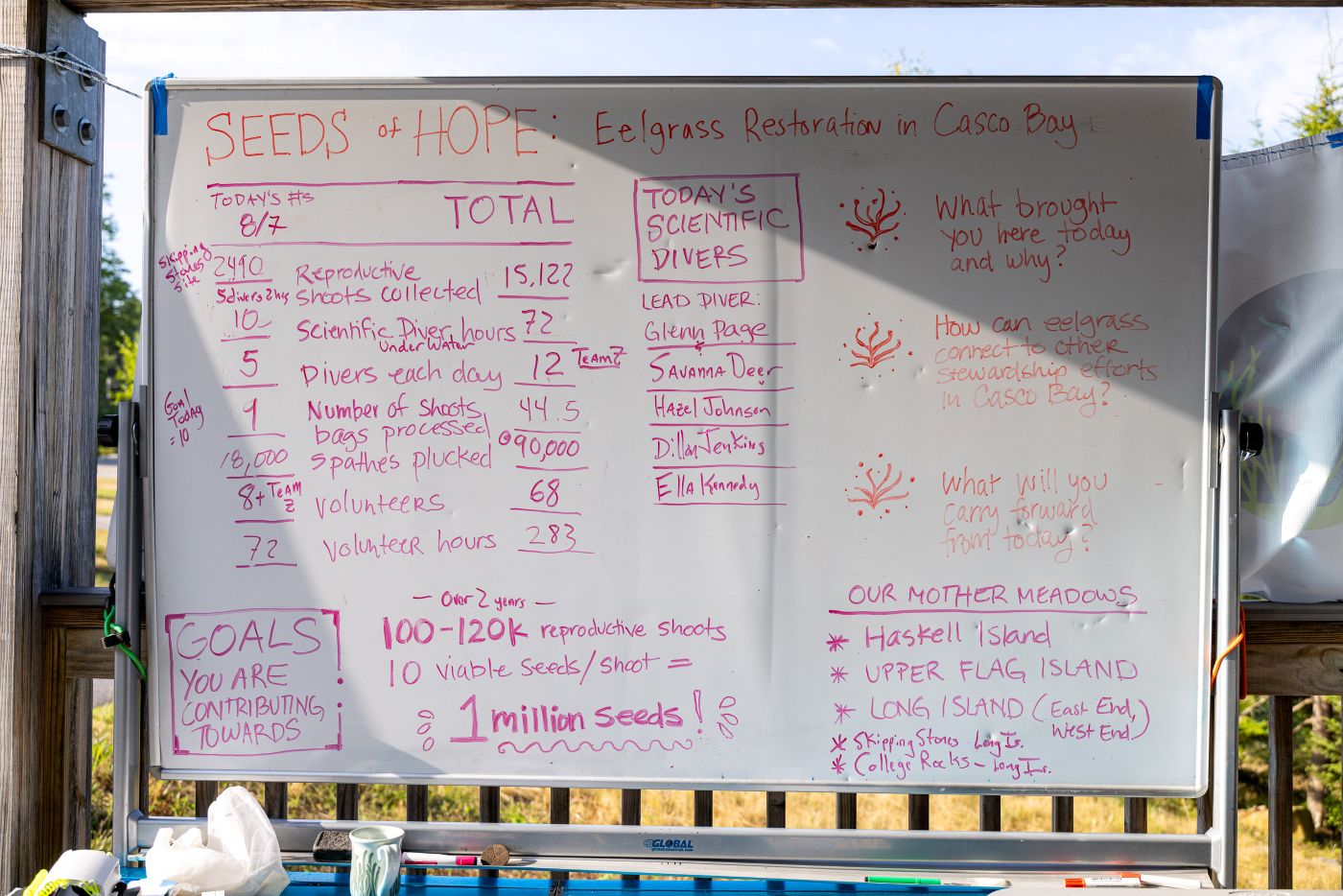 a whiteboard with volunteer instructions