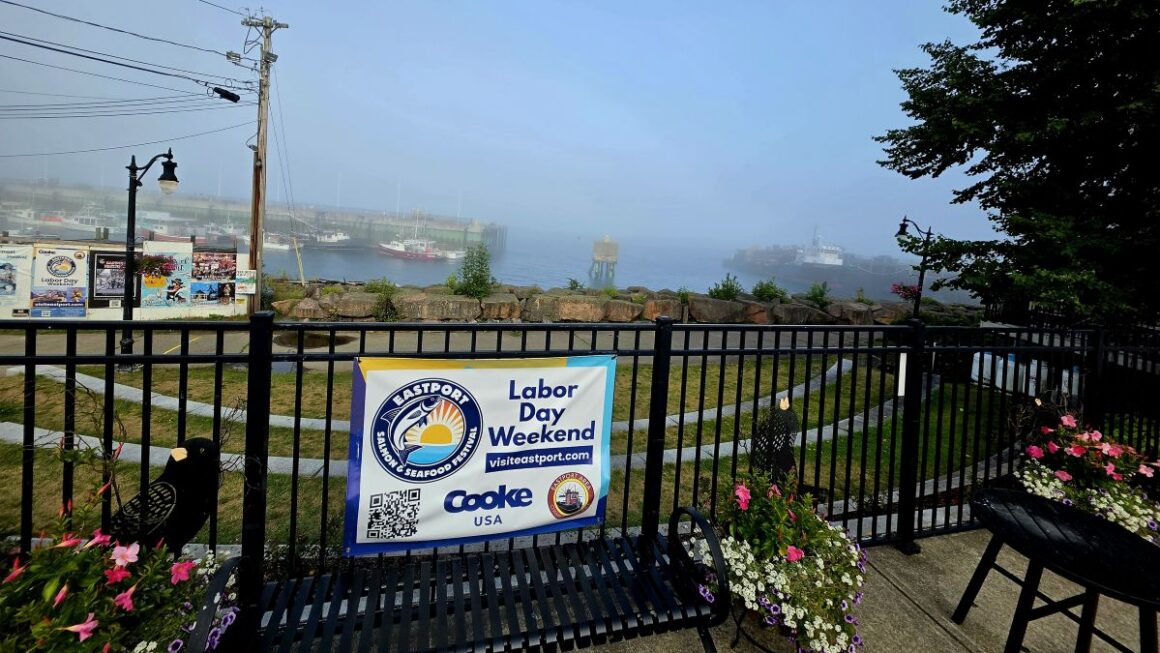 a view of eastport harbor