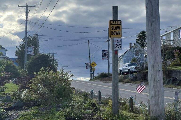 speed limit signs along a street