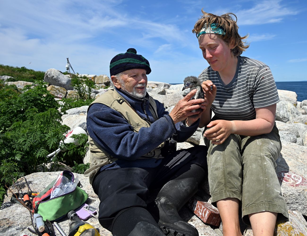 a man and woman examine a baby puffin