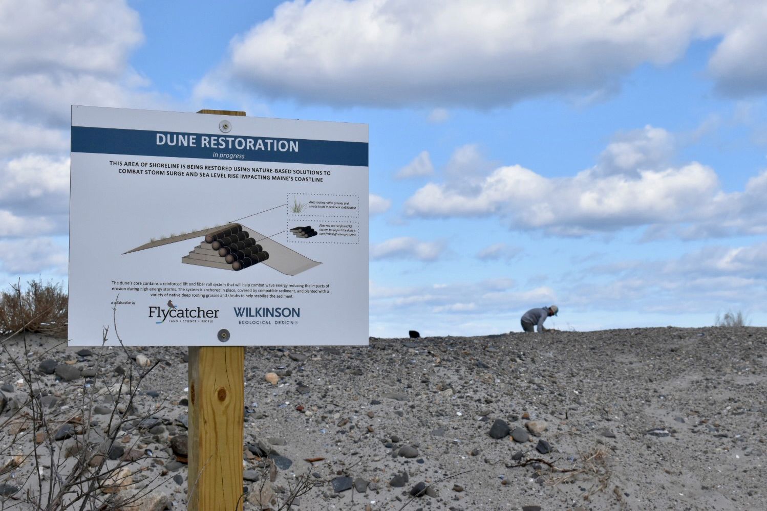 a sign denoting dune restoration on a beach.
