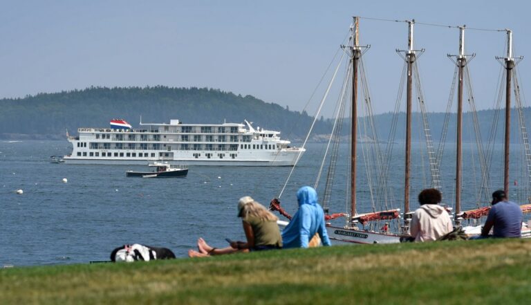 people sitting on a grass hill and looking at the waterfront where a cruise ship is docked.