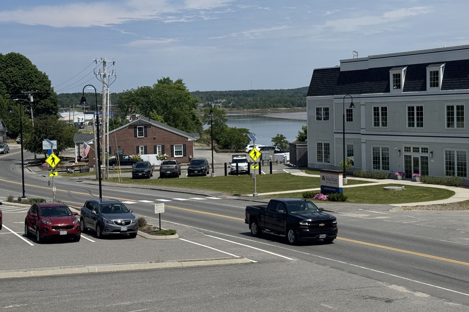 Machias considers special hunt to curb downtown deer population