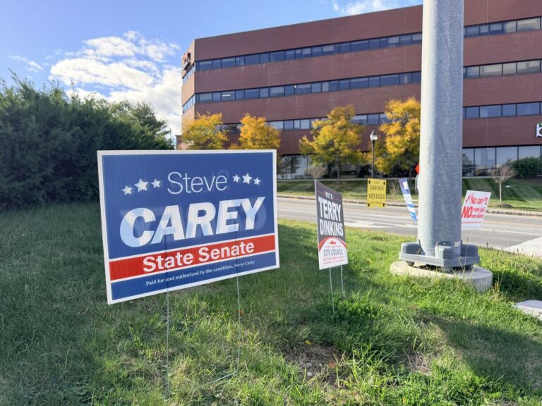 an election sign for steve carey
